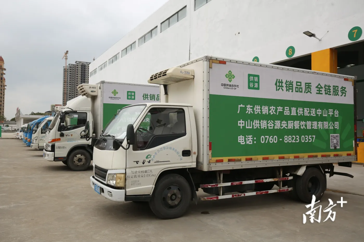 年货礼盒：辞旧迎新中的文化传承与消费升级